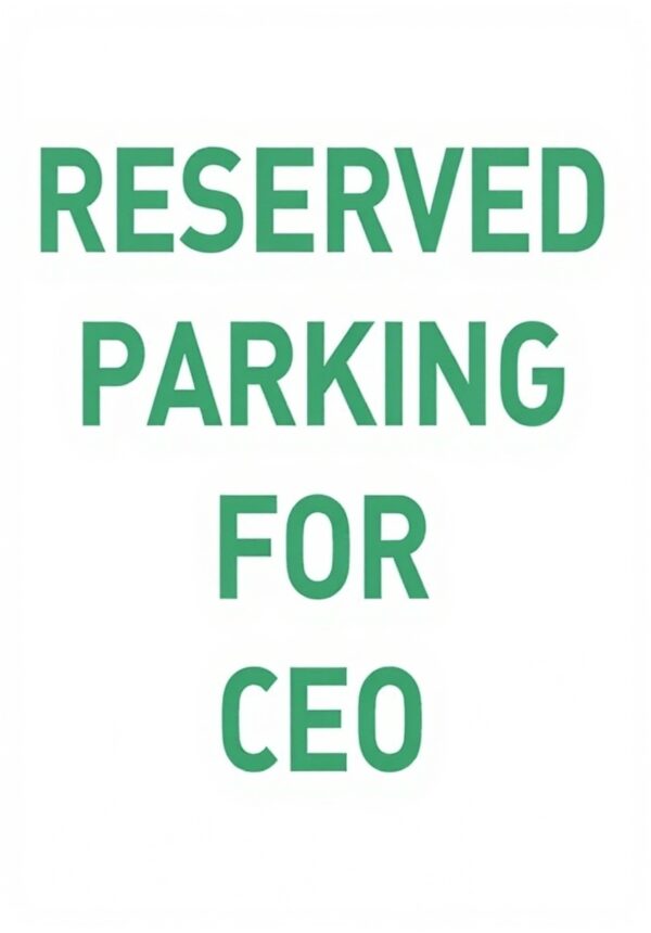 Targa Parcheggio CEO Latta Vintage Decorazione Cortile