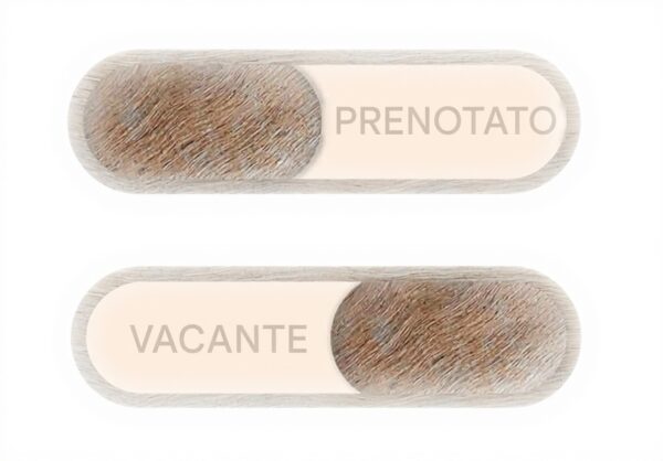 Cartello Bagno Libero Occupato Scorrevole Legno Generico
